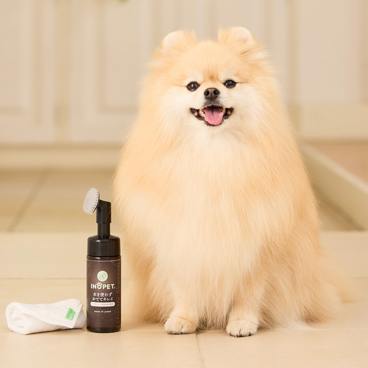 2種のシャンプーセット Organic Shampoo & Otecare Shampoo