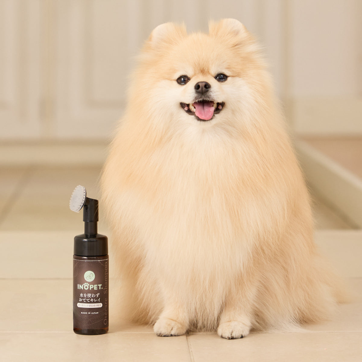 Otecare Shampoo おてケアシャンプー(ふき取りタオル無し)