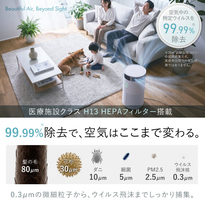 【AIRPETIX専用×活性炭プレ5枚組】純正交換用プレフィルター